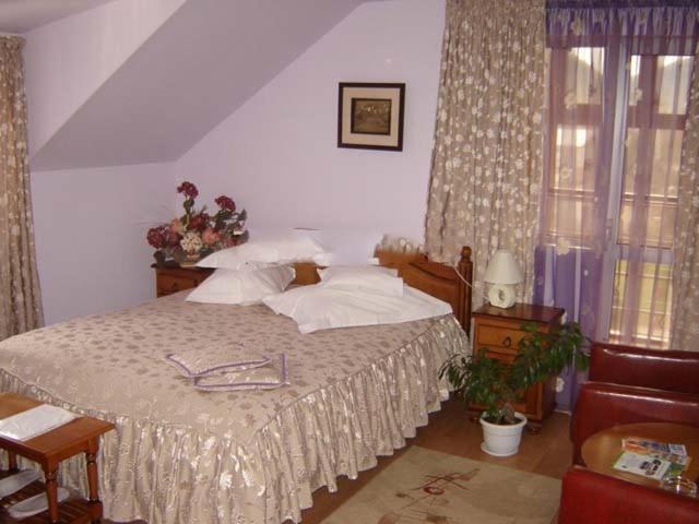 Hotel Cosmos Câmpulung Moldovenesc 部屋 写真
