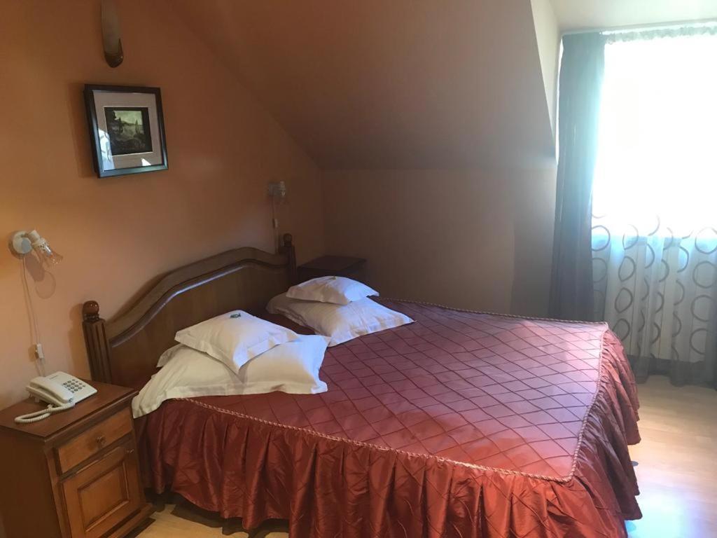 Hotel Cosmos Câmpulung Moldovenesc エクステリア 写真